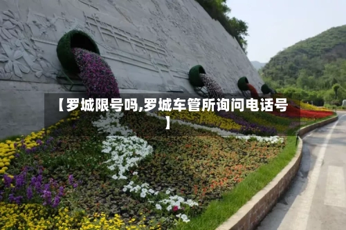 【罗城限号吗,罗城车管所询问电话号】-第2张图片