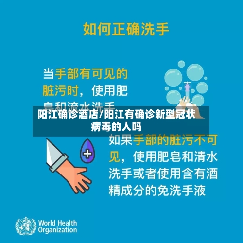 阳江确诊酒店/阳江有确诊新型冠状病毒的人吗-第3张图片