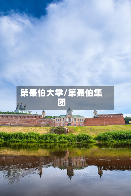 第聂伯大学/第聂伯集团