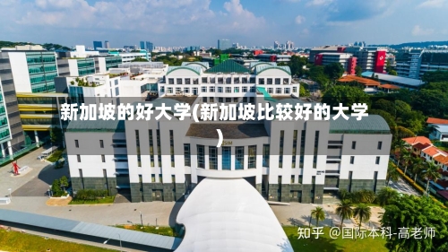 新加坡的好大学(新加坡比较好的大学)-第2张图片