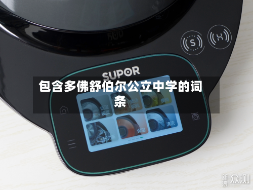 包含多佛舒伯尔公立中学的词条-第3张图片