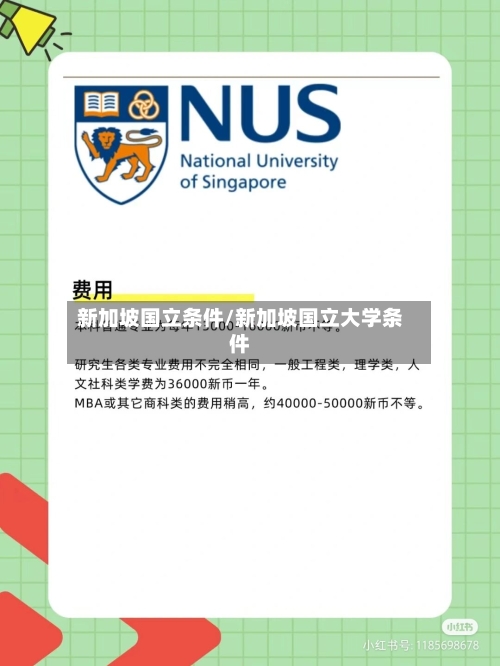 新加坡国立条件/新加坡国立大学条件-第3张图片