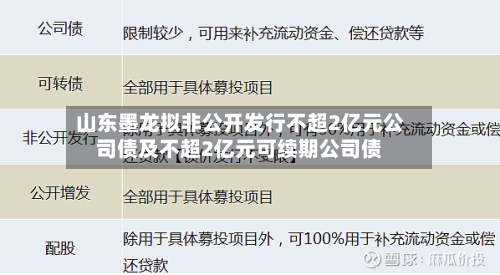 山东墨龙拟非公开发行不超2亿元公司债及不超2亿元可续期公司债