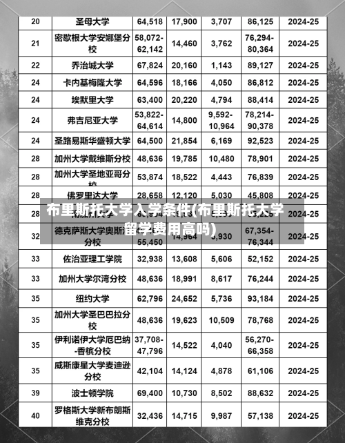 布里斯托大学入学条件(布里斯托大学留学费用高吗)