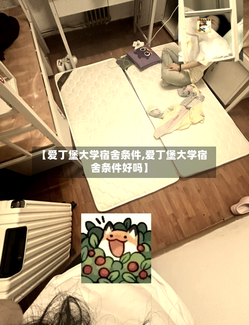 【爱丁堡大学宿舍条件,爱丁堡大学宿舍条件好吗】