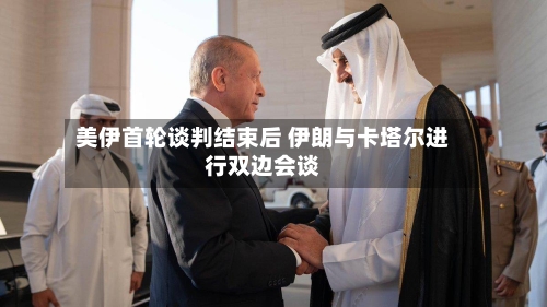 美伊首轮谈判结束后 伊朗与卡塔尔进行双边会谈