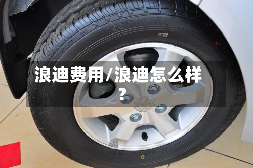 浪迪费用/浪迪怎么样?-第2张图片