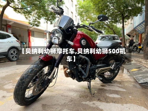 【贝纳利幼狮摩托车,贝纳利幼狮500机车】-第2张图片