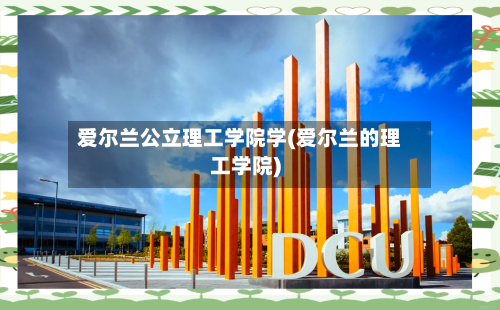 爱尔兰公立理工学院学(爱尔兰的理工学院)