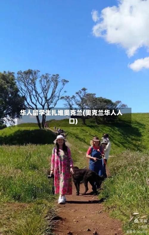 华人留学生扎堆奥克兰(奥克兰华人人口)-第2张图片