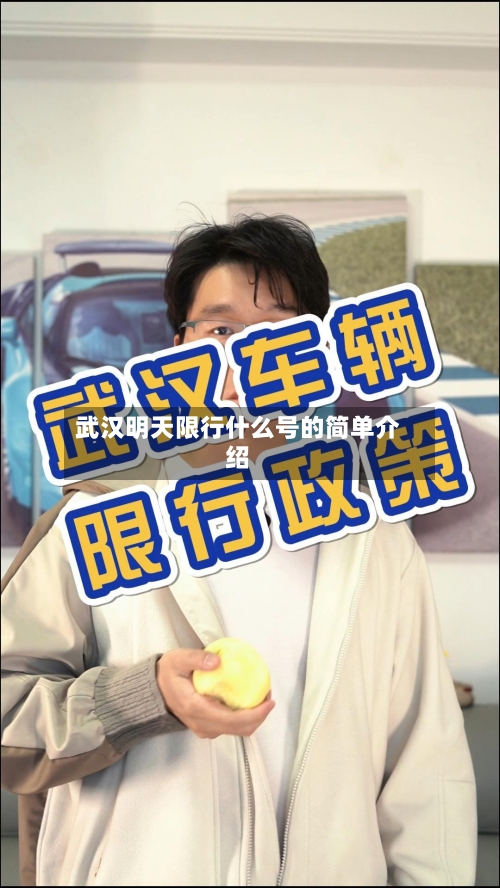 武汉明天限行什么号的简单介绍-第2张图片