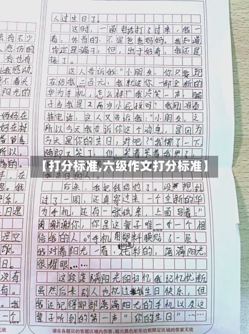 【打分标准,六级作文打分标准】-第3张图片