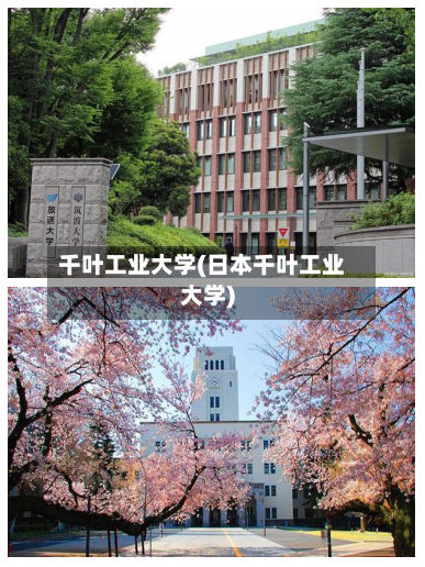千叶工业大学(日本千叶工业大学)-第3张图片