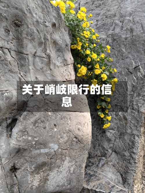 关于峭岐限行的信息-第3张图片