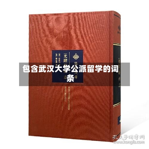 包含武汉大学公派留学的词条