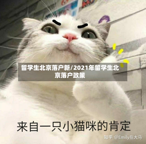 留学生北京落户新/2021年留学生北京落户政策-第2张图片
