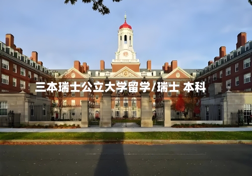 三本瑞士公立大学留学/瑞士 本科-第3张图片
