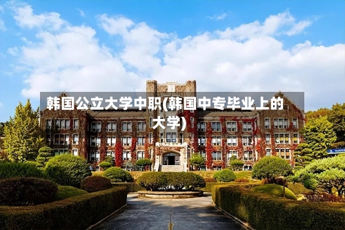 韩国公立大学中职(韩国中专毕业上的大学)