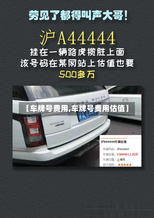 【车牌号费用,车牌号费用估值】
