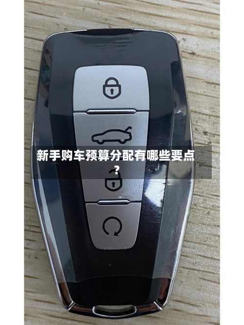 新手购车预算分配有哪些要点？-第2张图片