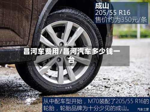 昌河车费用/昌河汽车多少钱一台-第3张图片